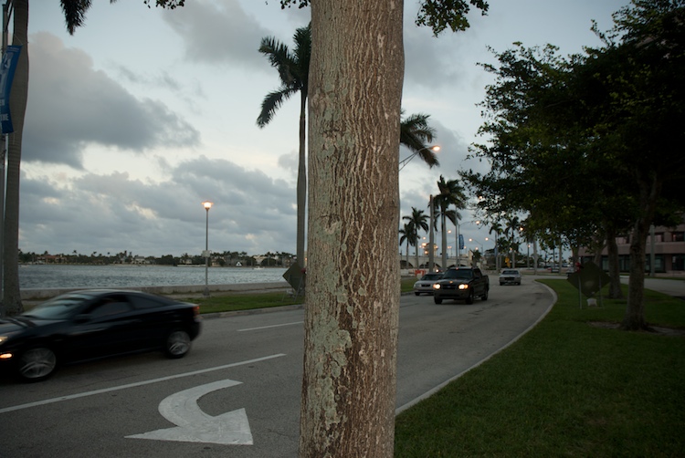 Untitled, from the set "West Palm, January", photographed by David Kimelman in 2007.