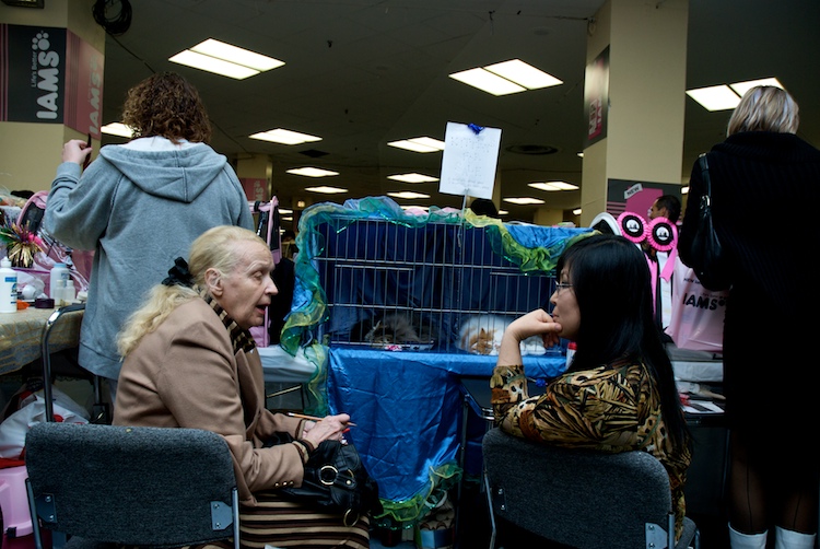 From the set "Cat People Show/" Photographed by David Kimelman in 2007.