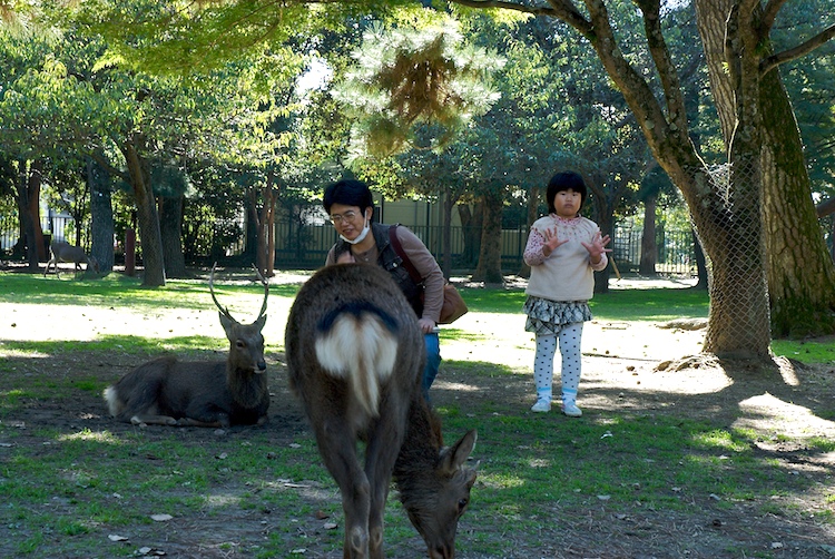 From the set "Japanophile." Photographed by David Kimelman in 2007.