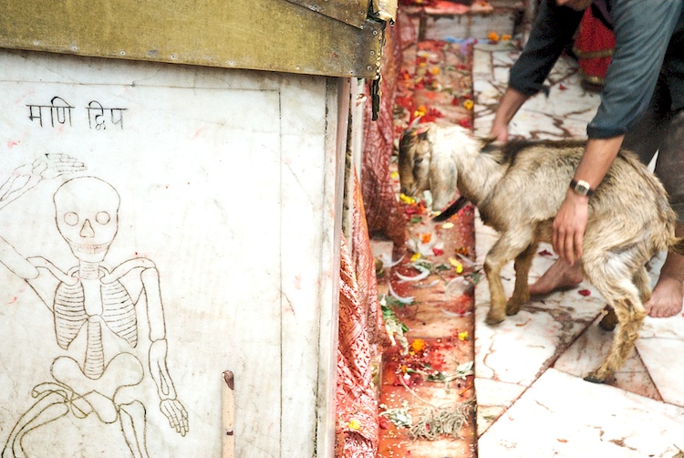 From the series, "Kathmandu", photographed by David Kimelman in Kathmandu, Nepal in 2009.