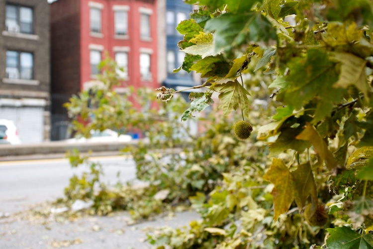 Brooklyn Tornado —3