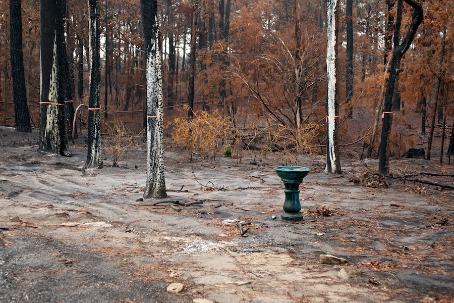 "Wildfire —Bird Bath" from the series Natural Order, photographed by David Kimelman